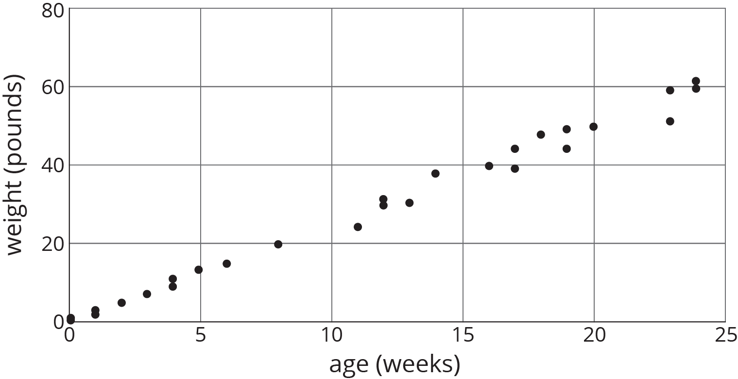 A scatterplot, age in weeks, 0 to 25 by 5, weight in pounds, 0 to 80 by 20. Points begin at the origin and trend up and right with a consistent slope to around 24 comma 60.