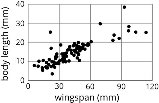 Scatterplot, wingspan in millimeters, body length in millimeters. Please request assistance.