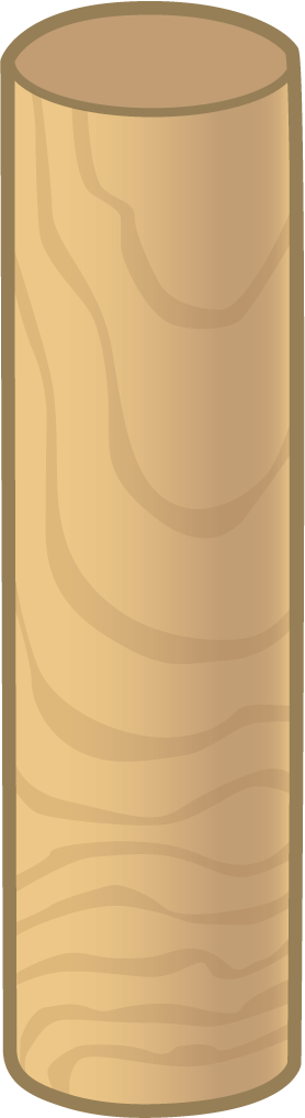 Solid shape. Cylinder.