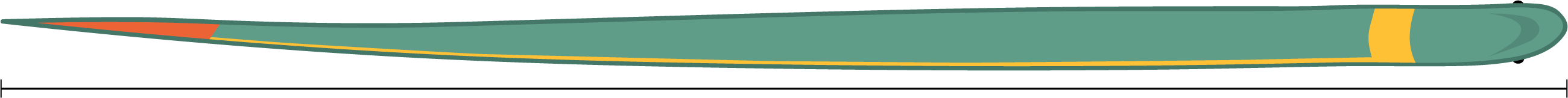 Reptile, Ringneck snake with line beneath for measuring.