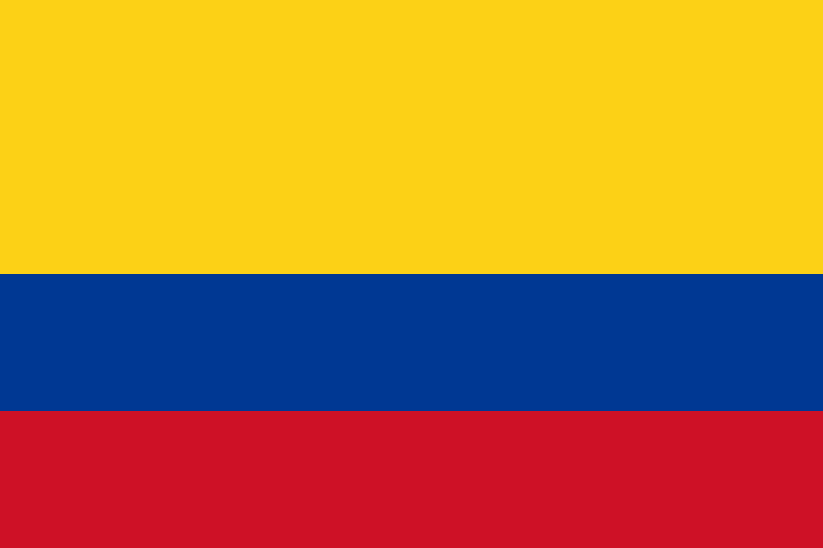 A rectangular figure that represents a flag.