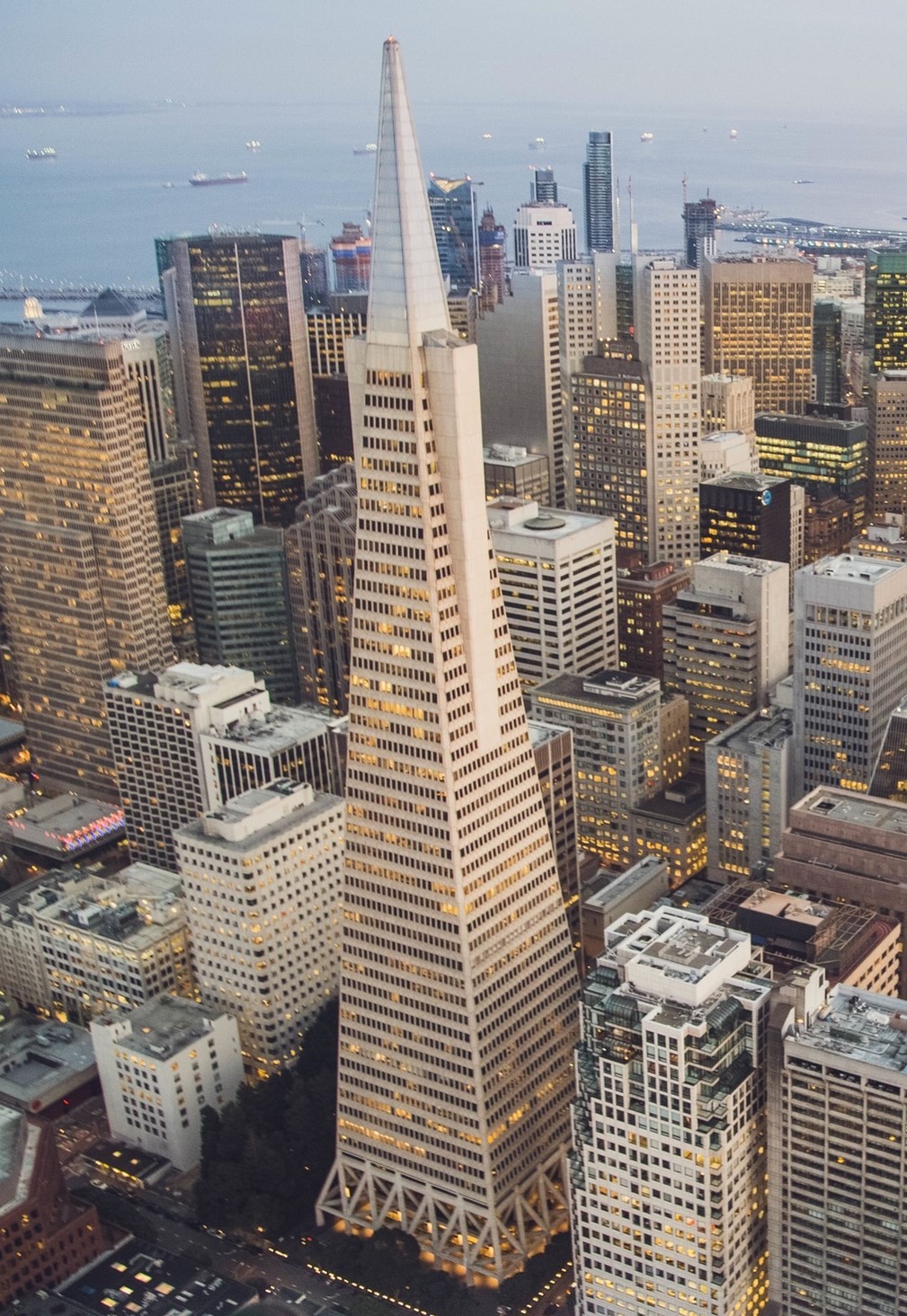 Image of the Transamerica Building in San Francisco.