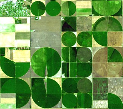 Images of fields to find the area using circles.