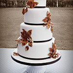 Photograph of fall wedding cake