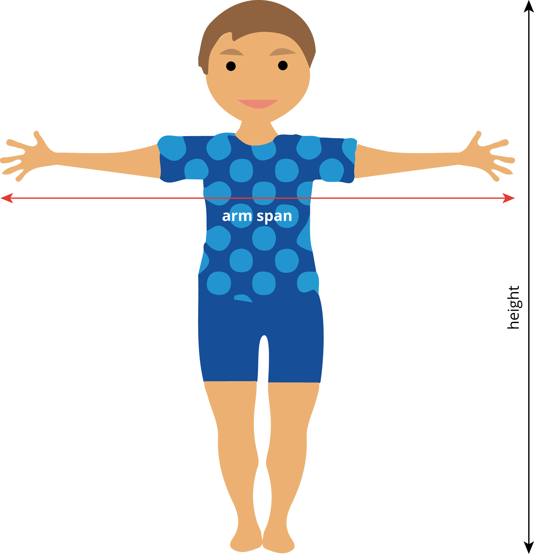 Image of person showing height and arm span.