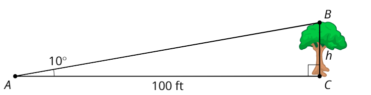 Triangle A B C where B C is the height of a tree. Angle A is 10 degrees, angle C is a right angle, and segment A C is 100 feet.