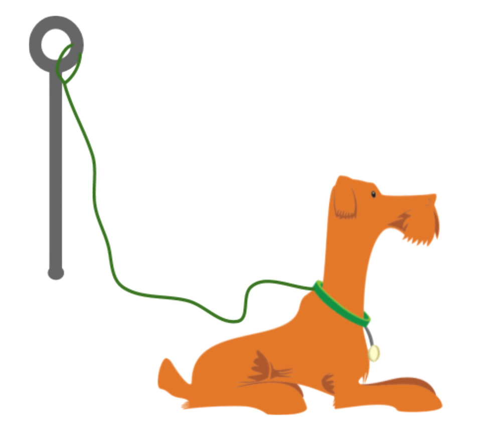 Dog with leash tied to a post.