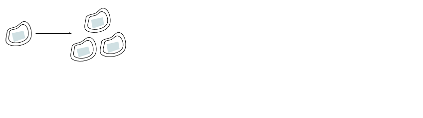 The picture shows 1 bacterium (an irregular polygon with a double outline and light blue inside) for hour 0, then an arrow to the right, then 3 bacteria for hour 1.