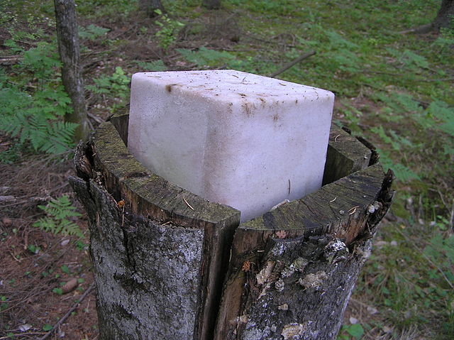 A image of a salt-lick.