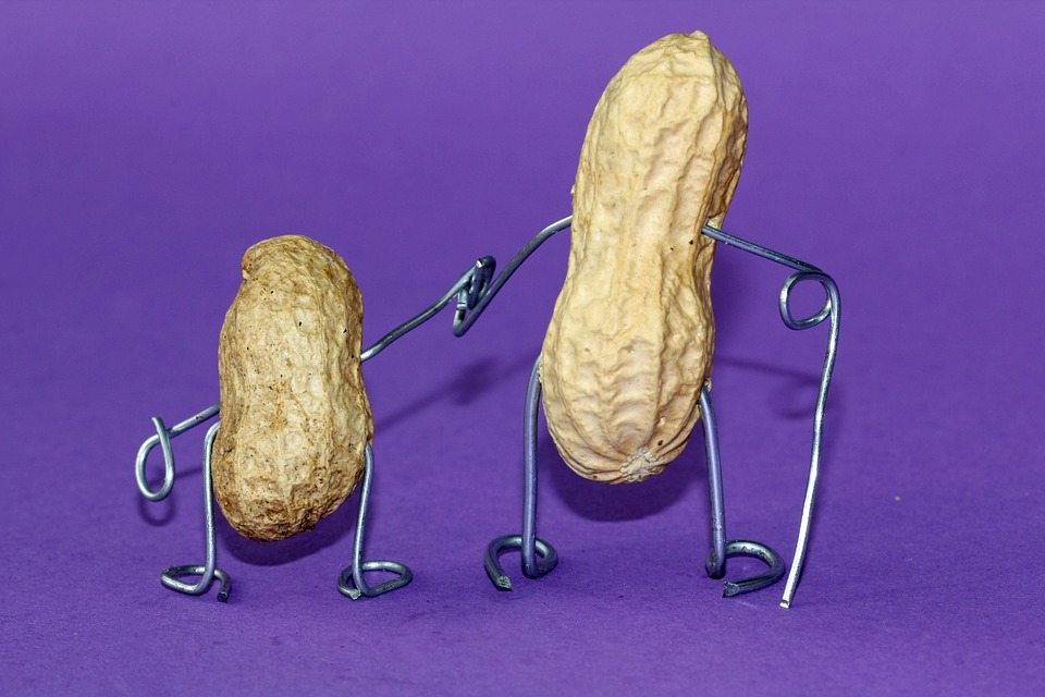two peanuts with wire arms and legs on purple background
