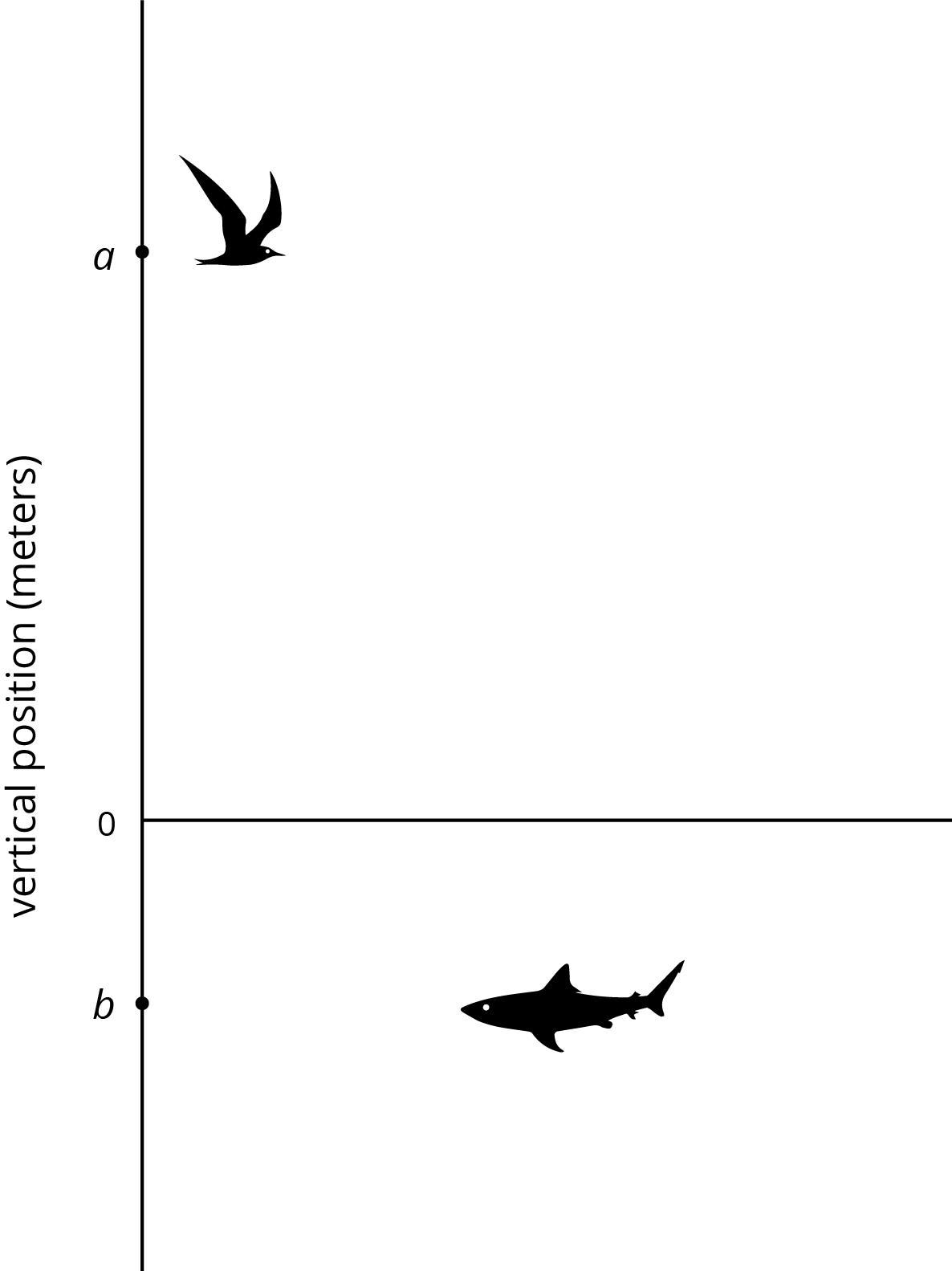 A vertical number line. Vertical position, meters.