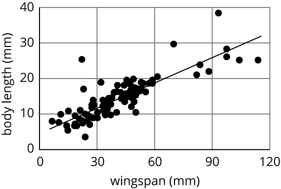 Scatterplot of butterfly wingspan.