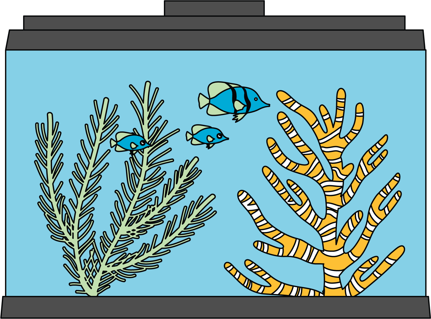 illustration of a rectangular fish tank