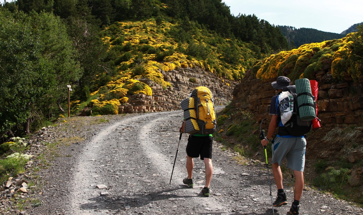 two people hiking up a mountain trail