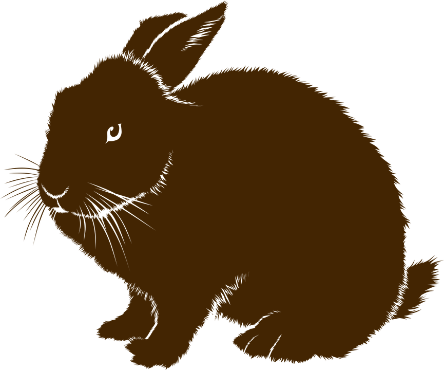 image of a rabbit