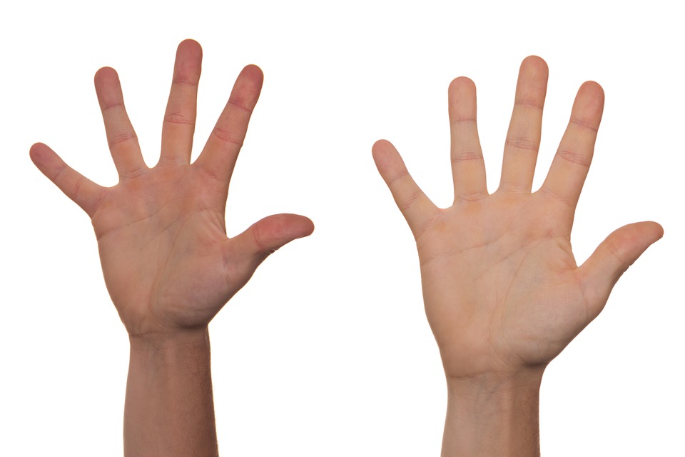 two raised hands on white background
