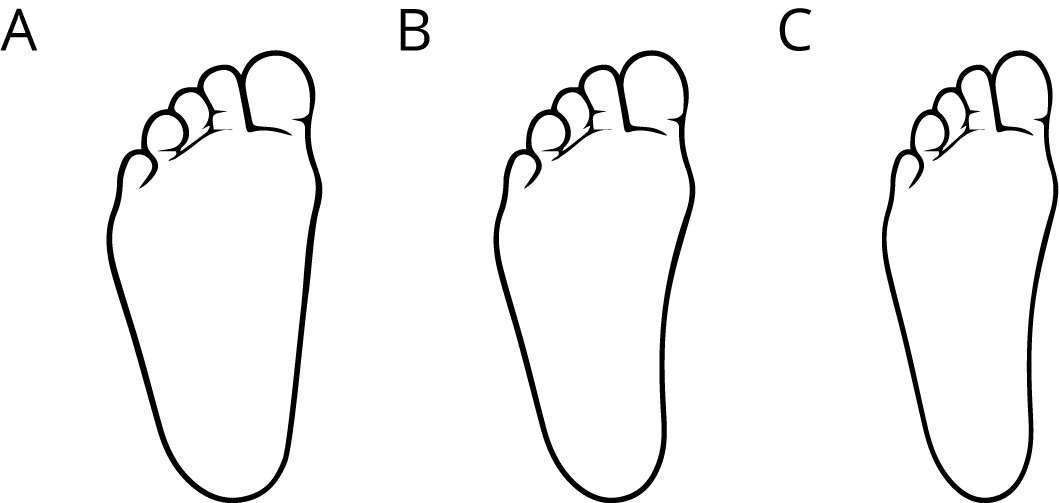 Images of 3 different drawn feet.