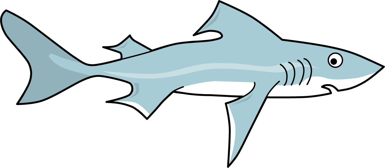 Fish. Spiny Dogfish shark.