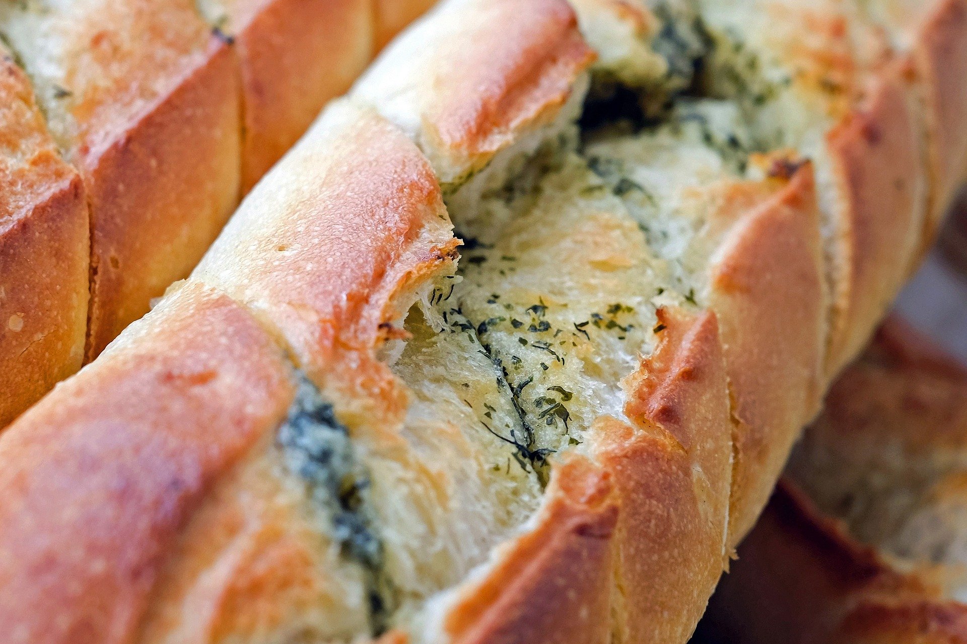 photograph, garlic bread