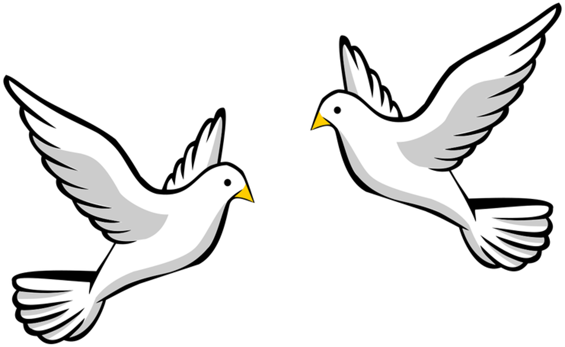 Image of sequence of transformations with birds.