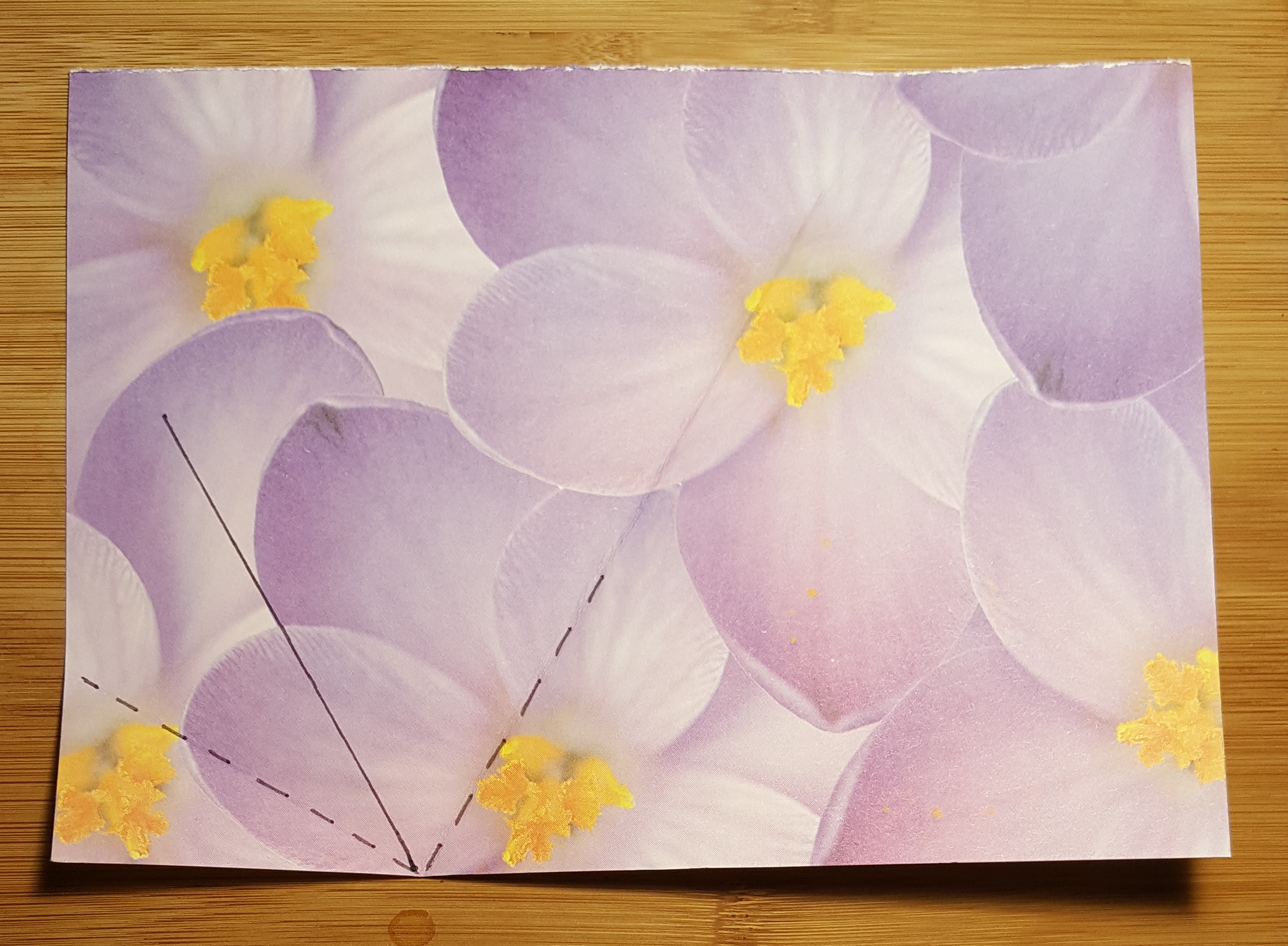 A photo of a decorative piece of paper which had been folded in the previous photo. The folds have been indicated by dotted lines, the line where the folds met indicated by a solid line.