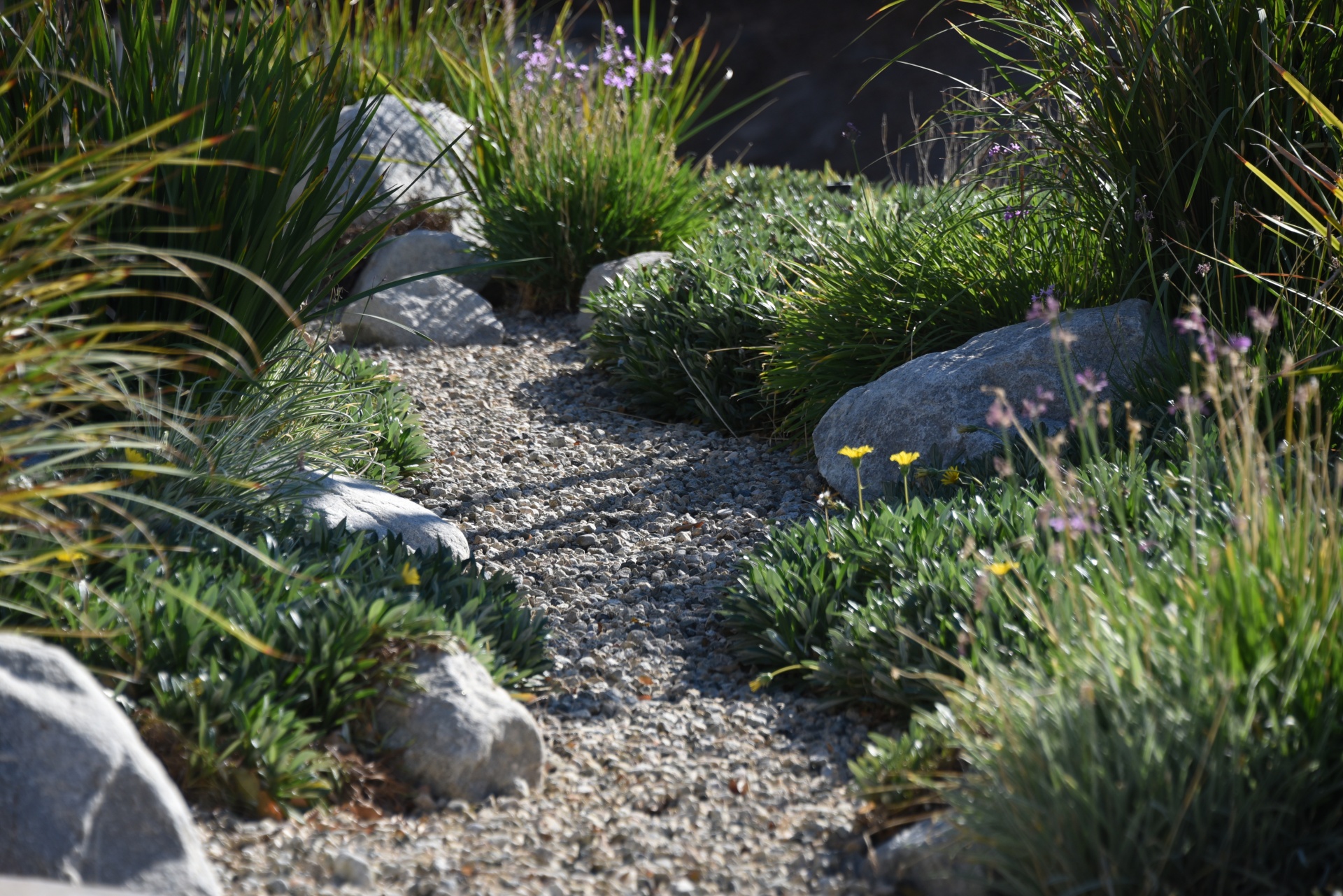 Rocks in a garden