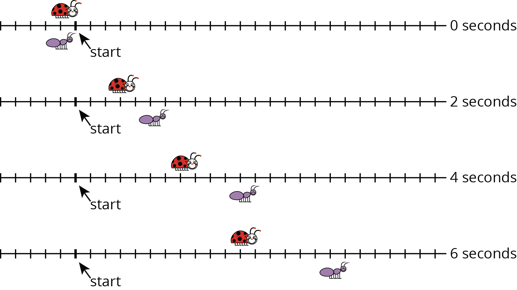4 number lines, 30 evenly spaced tick marks.