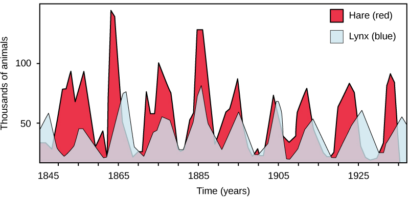 A graph of hare and lynx numbers
