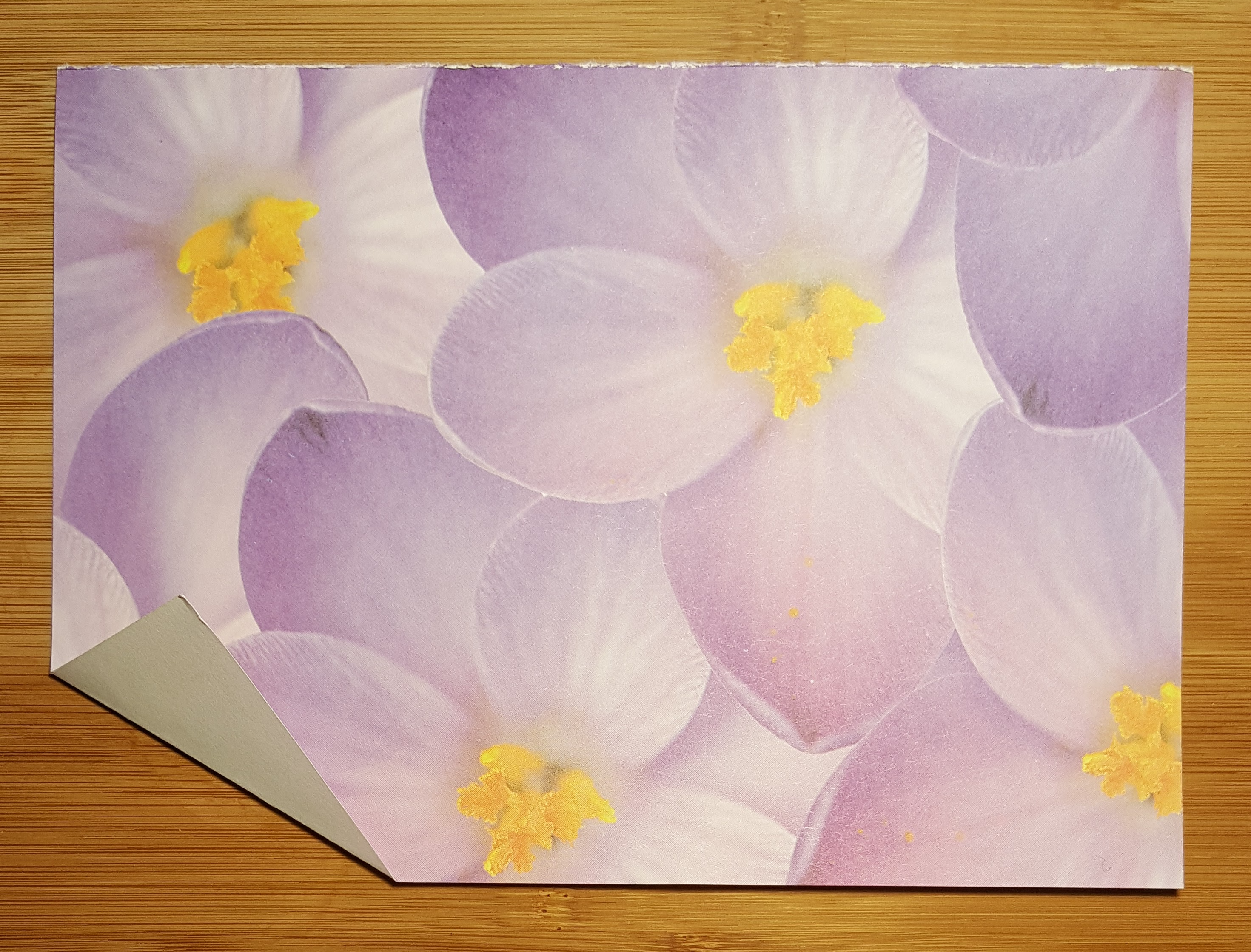 A piece of decorated paper, the bottom left corner folded up.