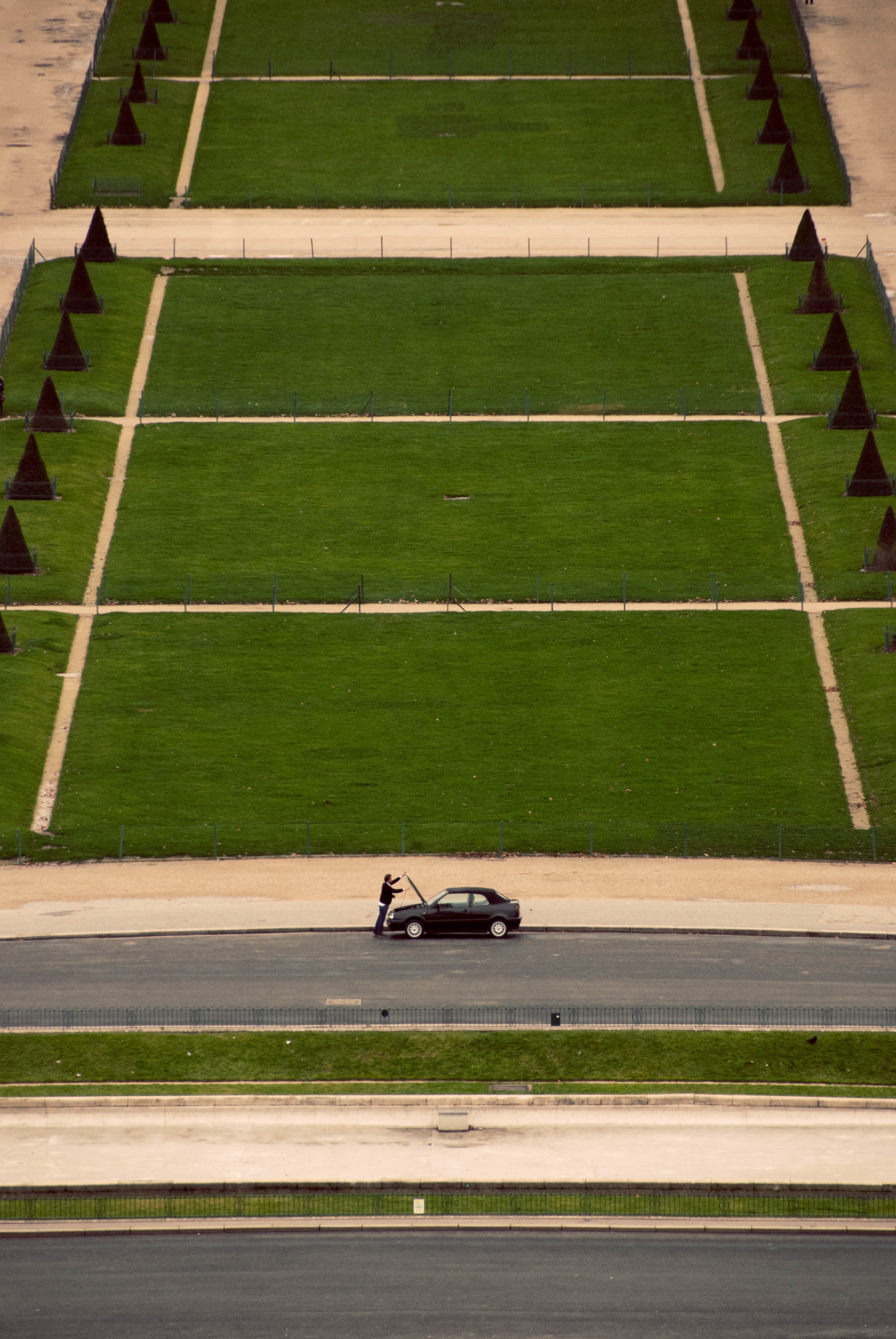 picture of a garden with large rectangular lawns