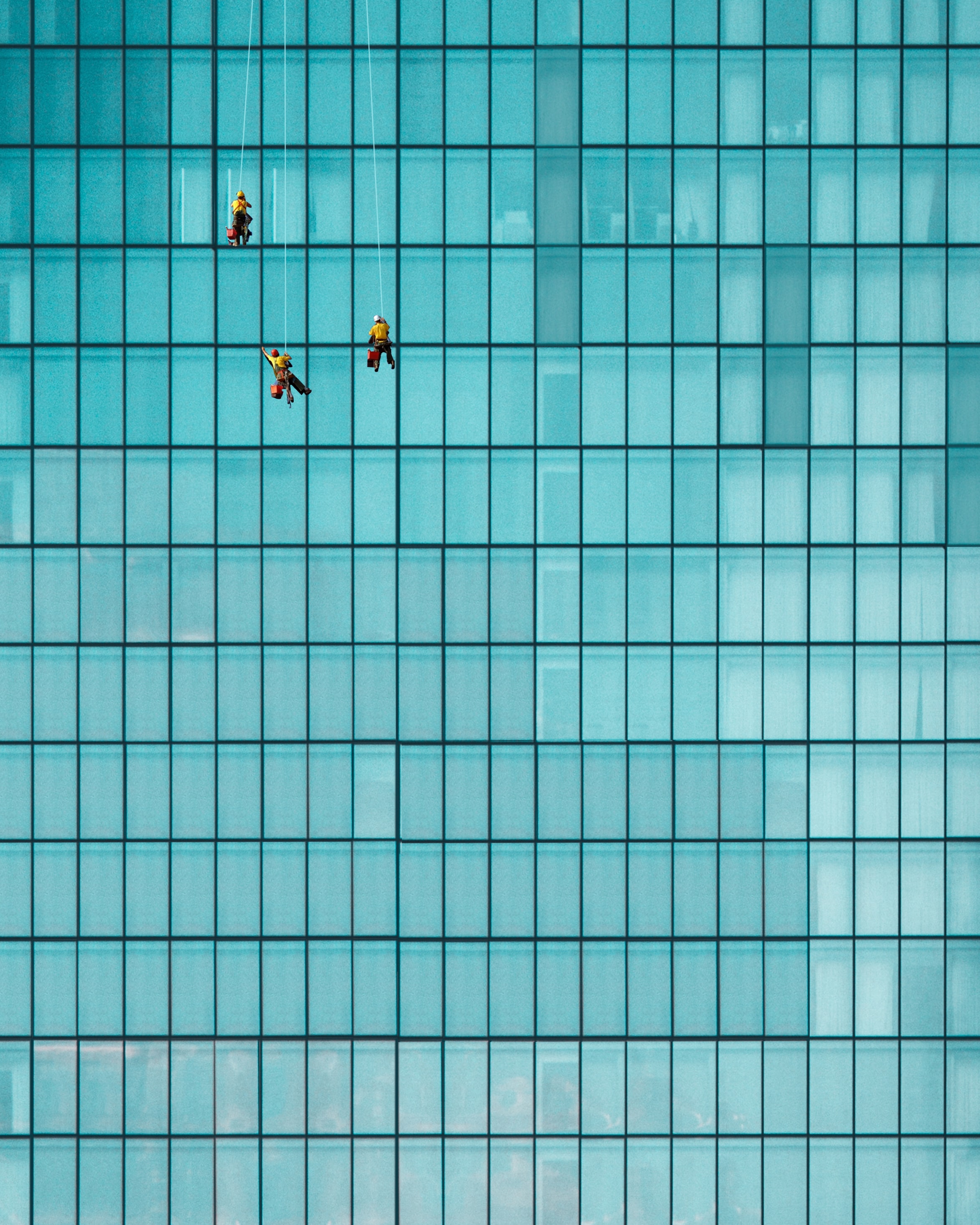 photograph of window washers and windows. Each window, width, about man's arm span, height, about one and one half man's height.