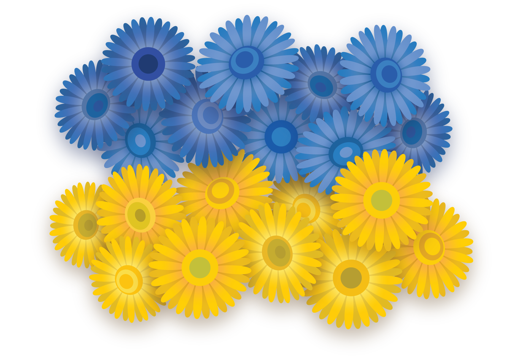 blue and yellow flowers.