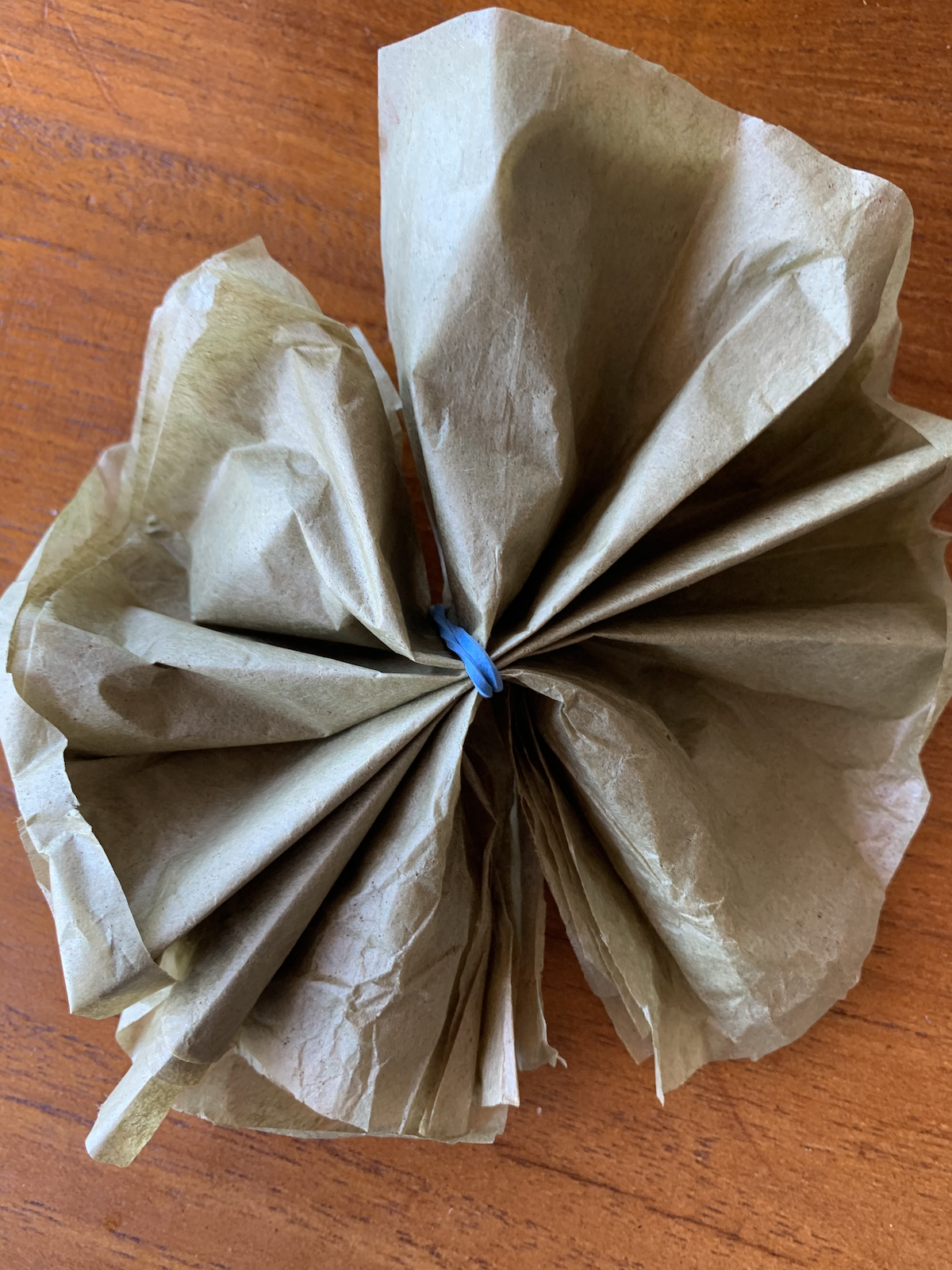 photograph of a strip of tissue paper tied together by a rubber band in the middle unfolded in a circular layout.