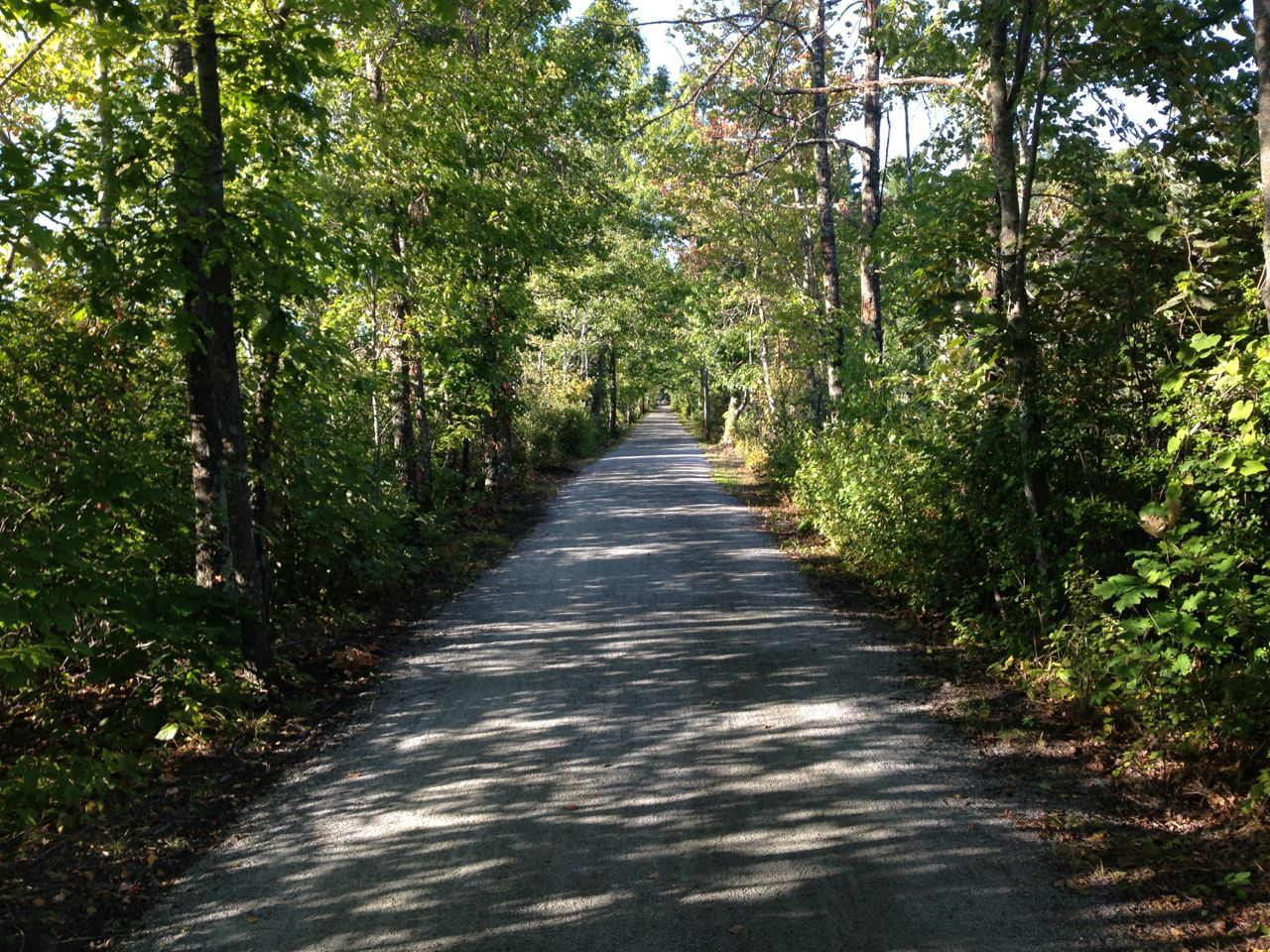 photo of a trail