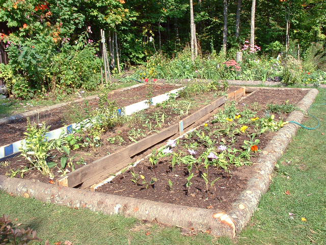 vegetable garden