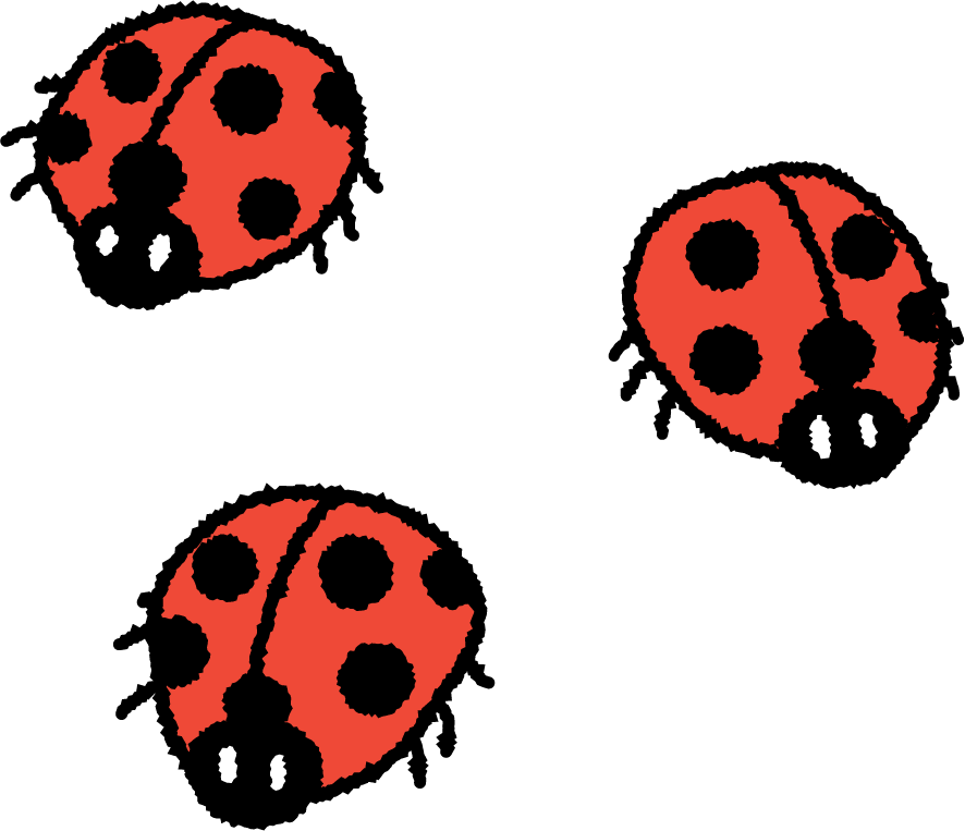 Objects. Ladybugs, 3.