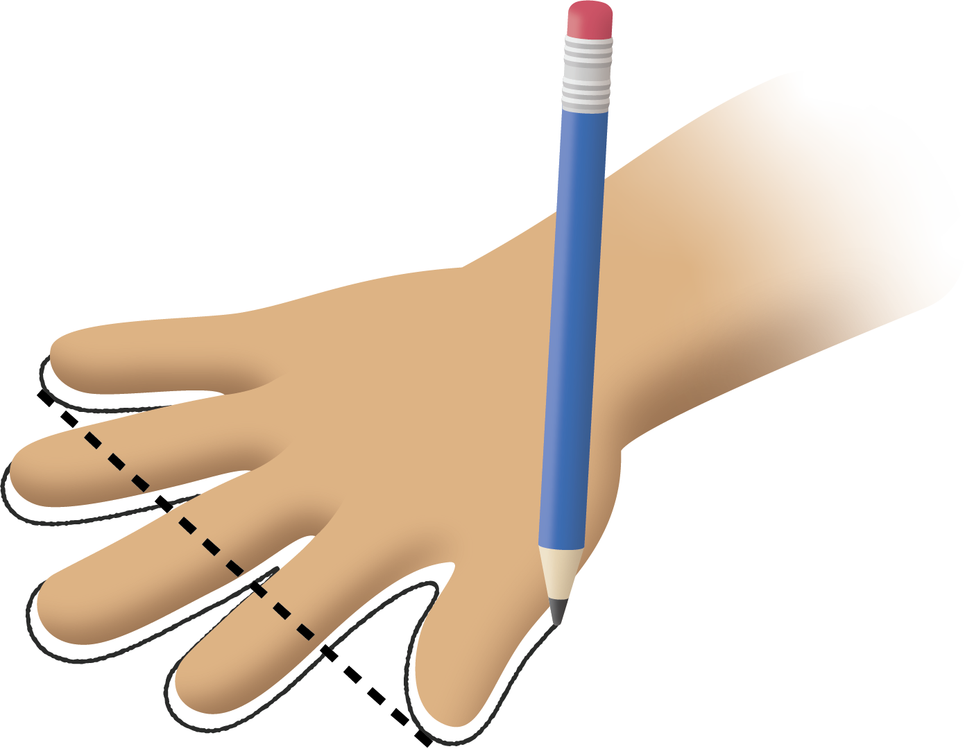 Pencil tracing hand. Dotted line from top of thumb to top of pinky finger.