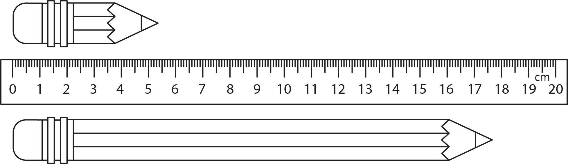 Two pencils and ruler.