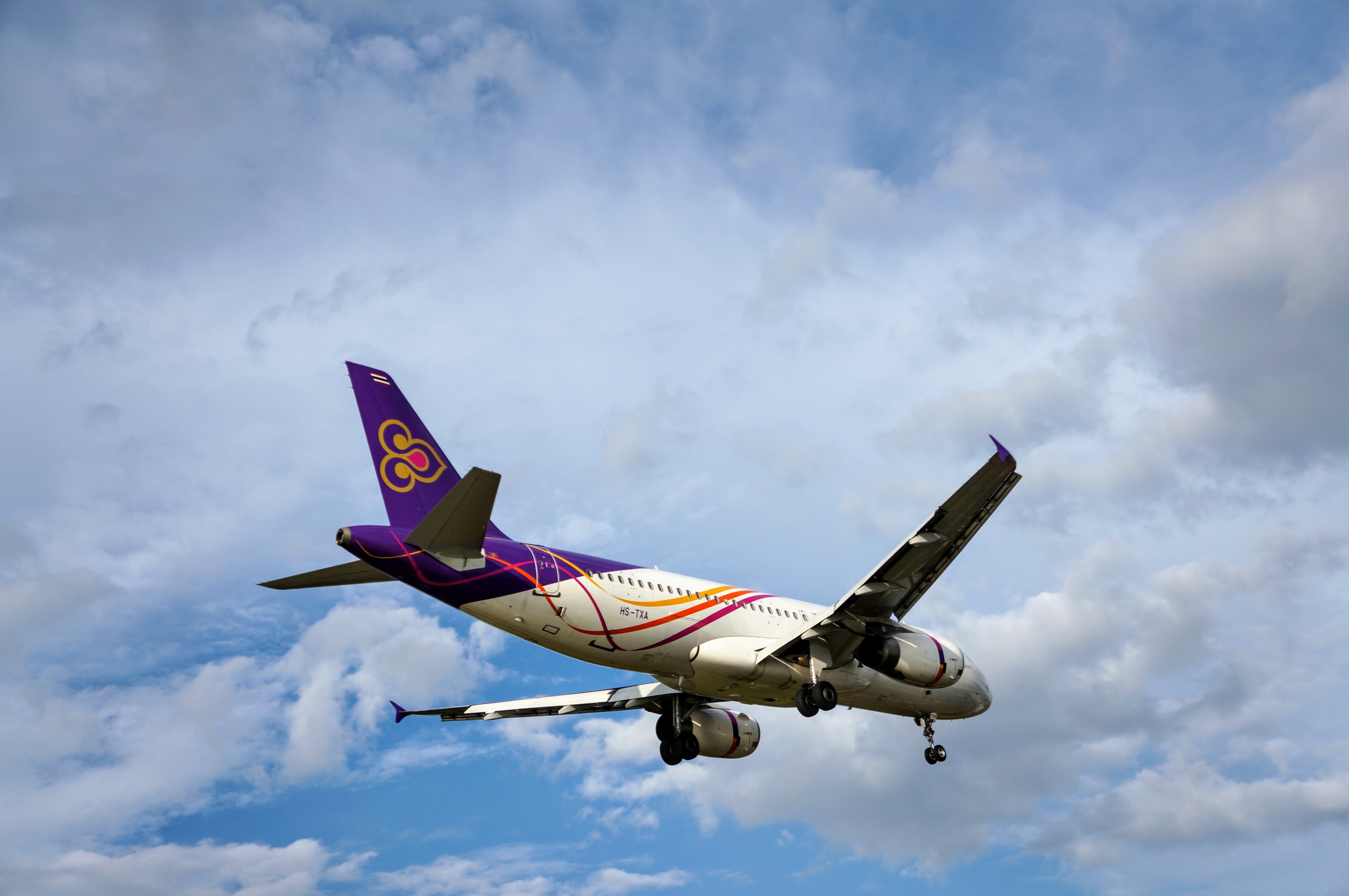 A photo of an airplane landing