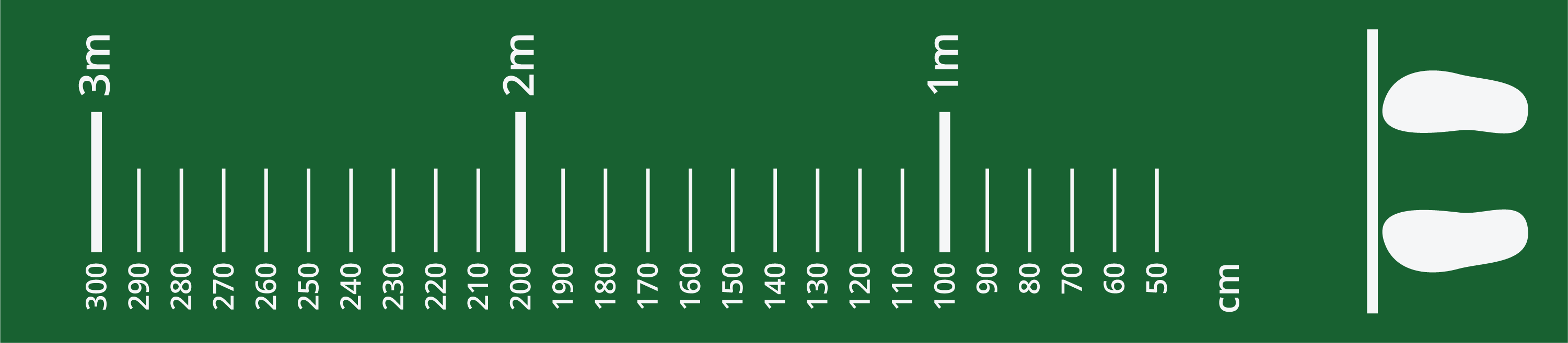 chart for long jump. scale, fifty to 3 hundred centimeters, by 10 centimeters. Also, scale 0 to 3 meters, by meters.