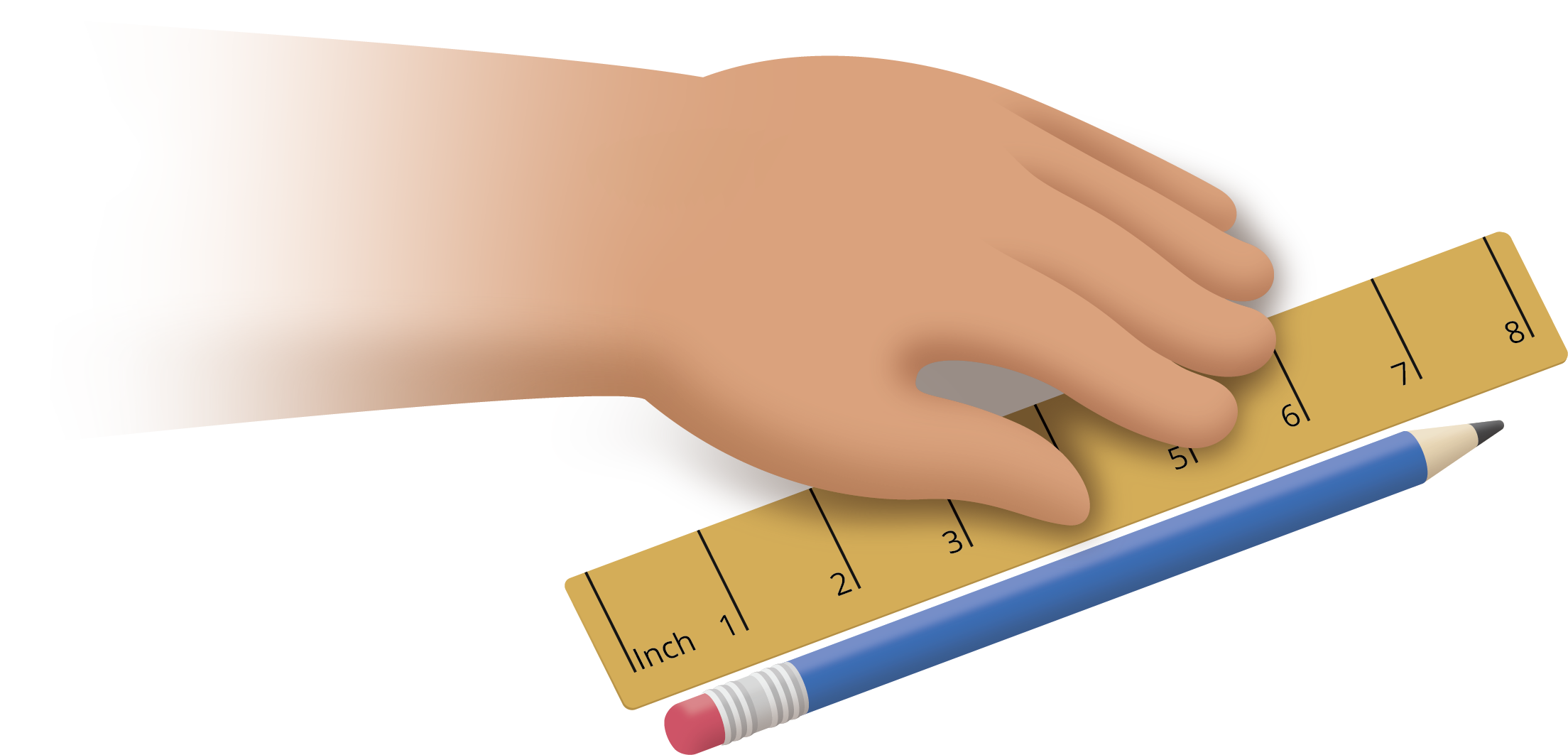 Illustration. Student's hand, a ruler, and a pencil.