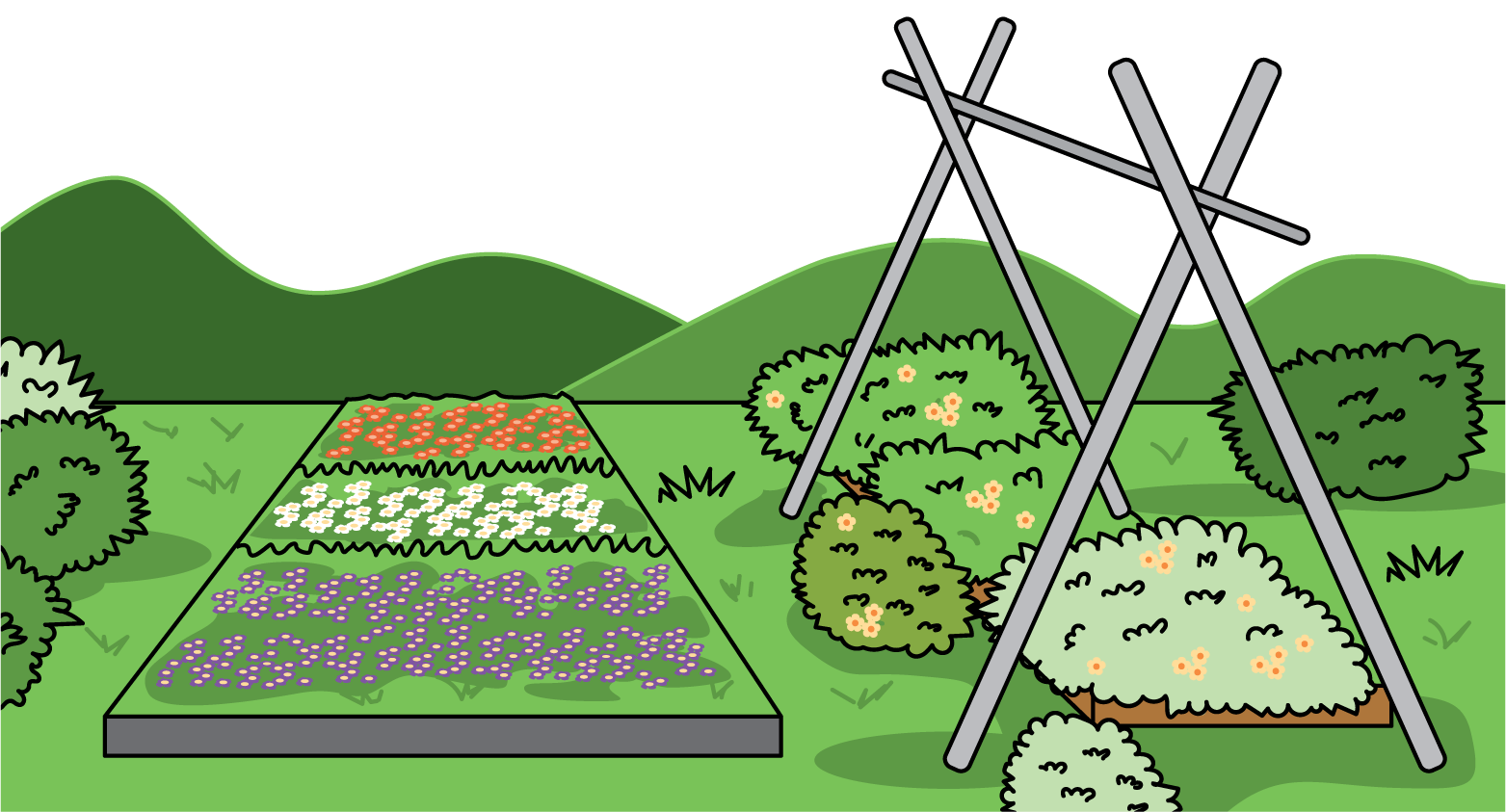image of garden, has 3 sections, bushes and poles next to garden.