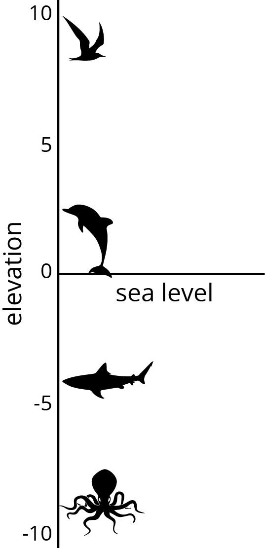 Vertical number line, elevation, horizontal number line at zero, sea level. Silhouettes of animal, from lowest to highest, octopus, shark, dolphin, seagull.
