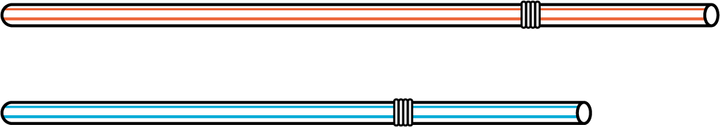 Straws. Red, 1. Blue, 1.