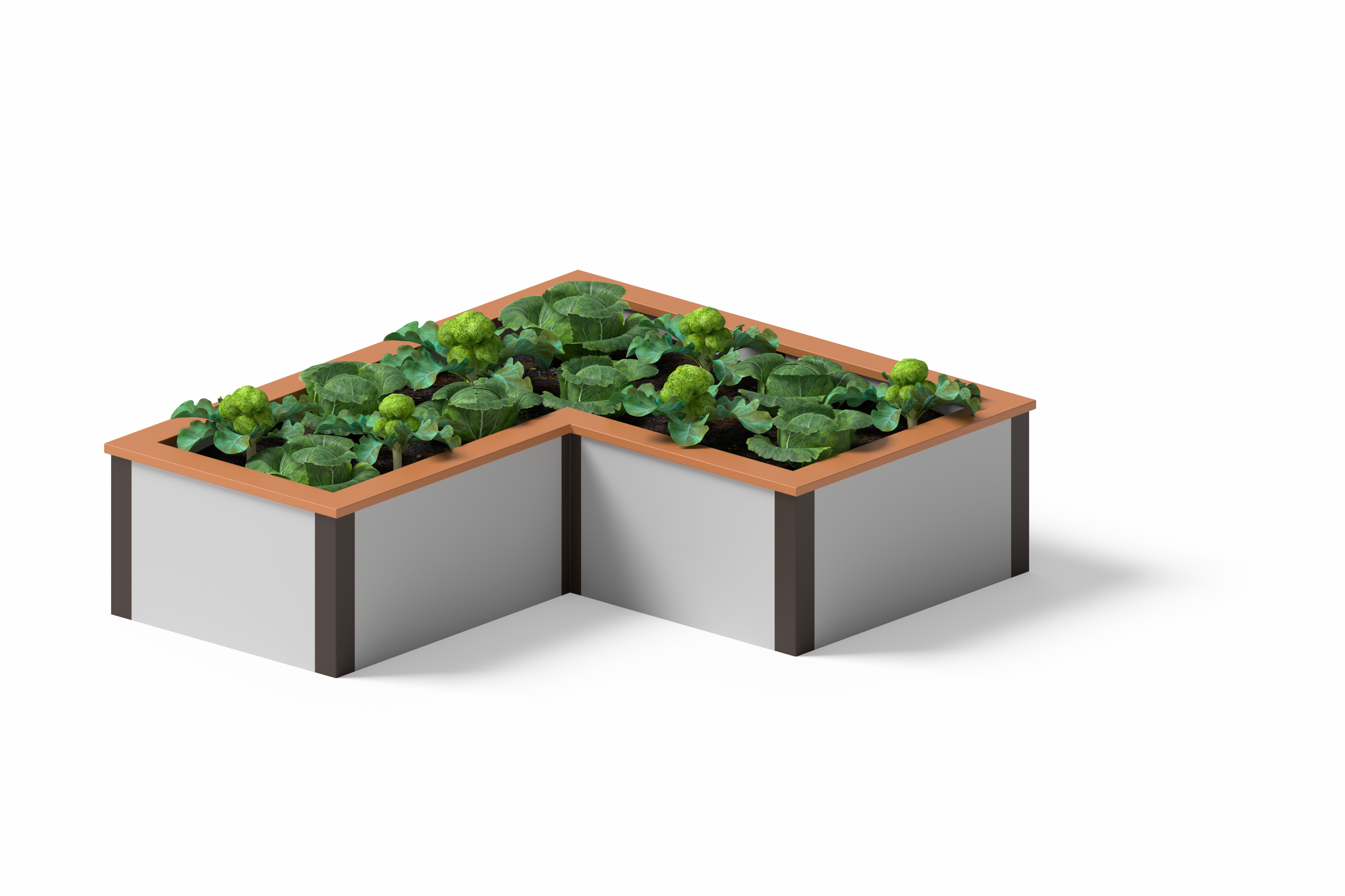 V-shaped raised bed garden.